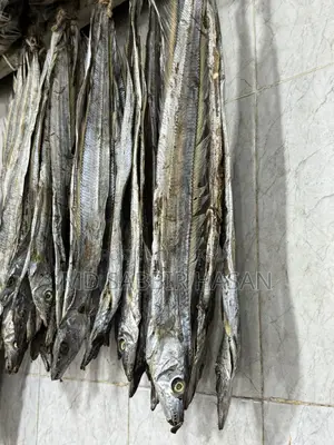 ছুড়ি সুটকি বড় সাইজ