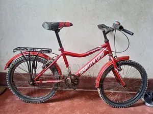 Bicycle for kids