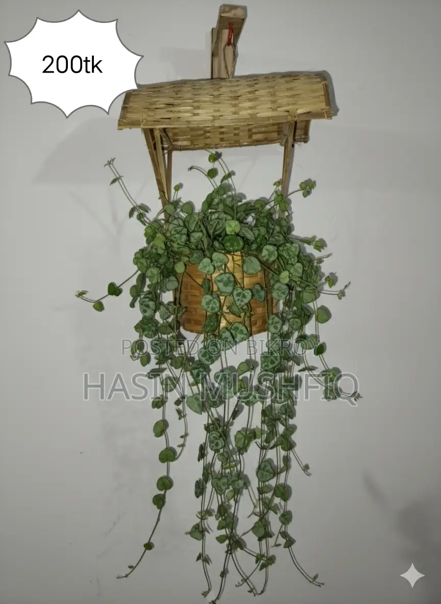 Plant Shelf