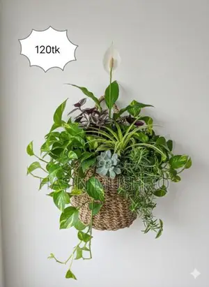 Plant Shelf