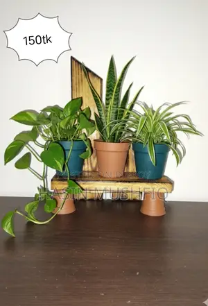 Plant Shelf