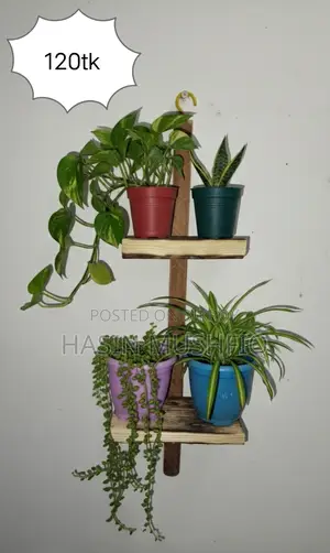 Plant Shelf