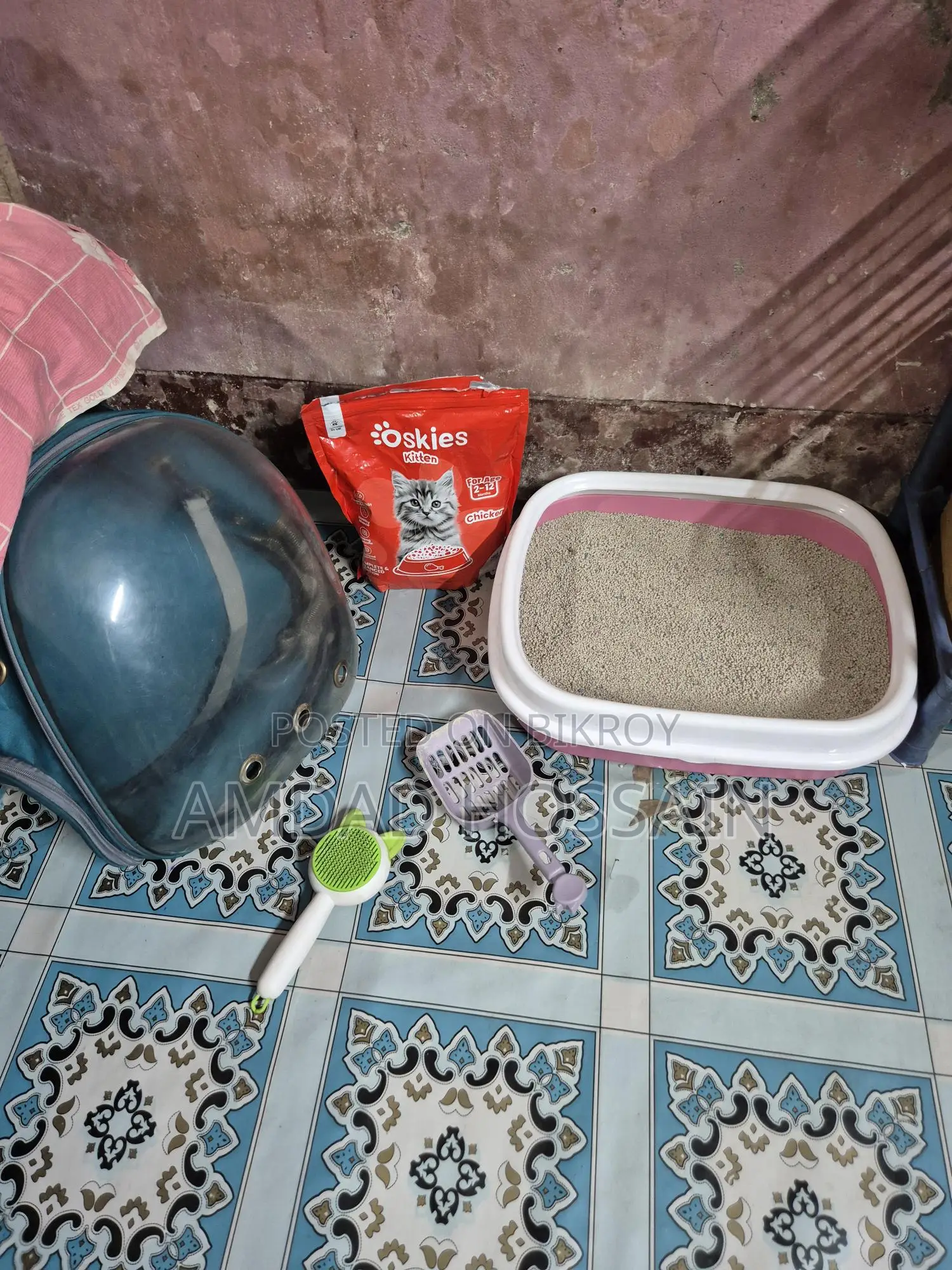 সাদা পার্সিয়ান বিড়াল