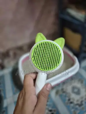 সাদা পার্সিয়ান বিড়াল