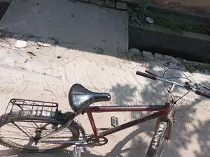 Bicycle Sale