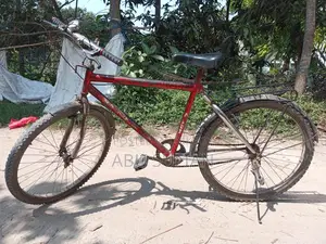 Bicycle Sale
