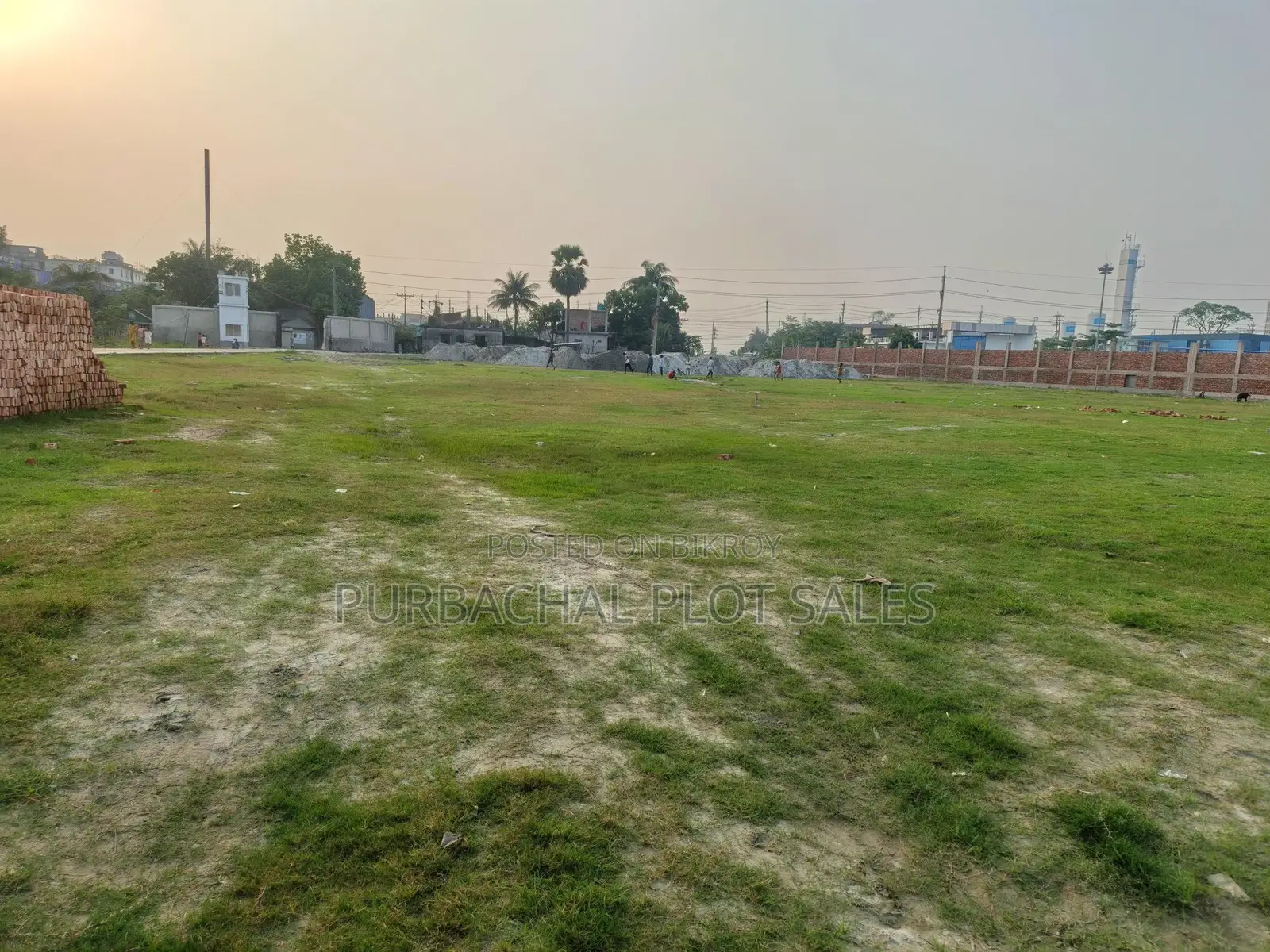 Buy a plot at an attractive price in Tulip Valley.