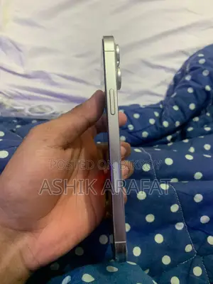 Apple iPhone 13 Pro Max (Used)