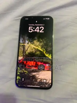 Apple iPhone 13 Pro Max (Used)