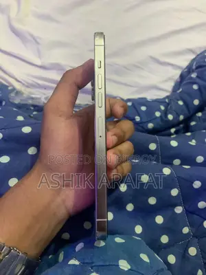 Apple iPhone 13 Pro Max (Used)
