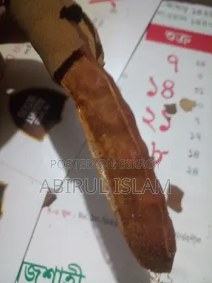 গাছপাকা তেঁতুল