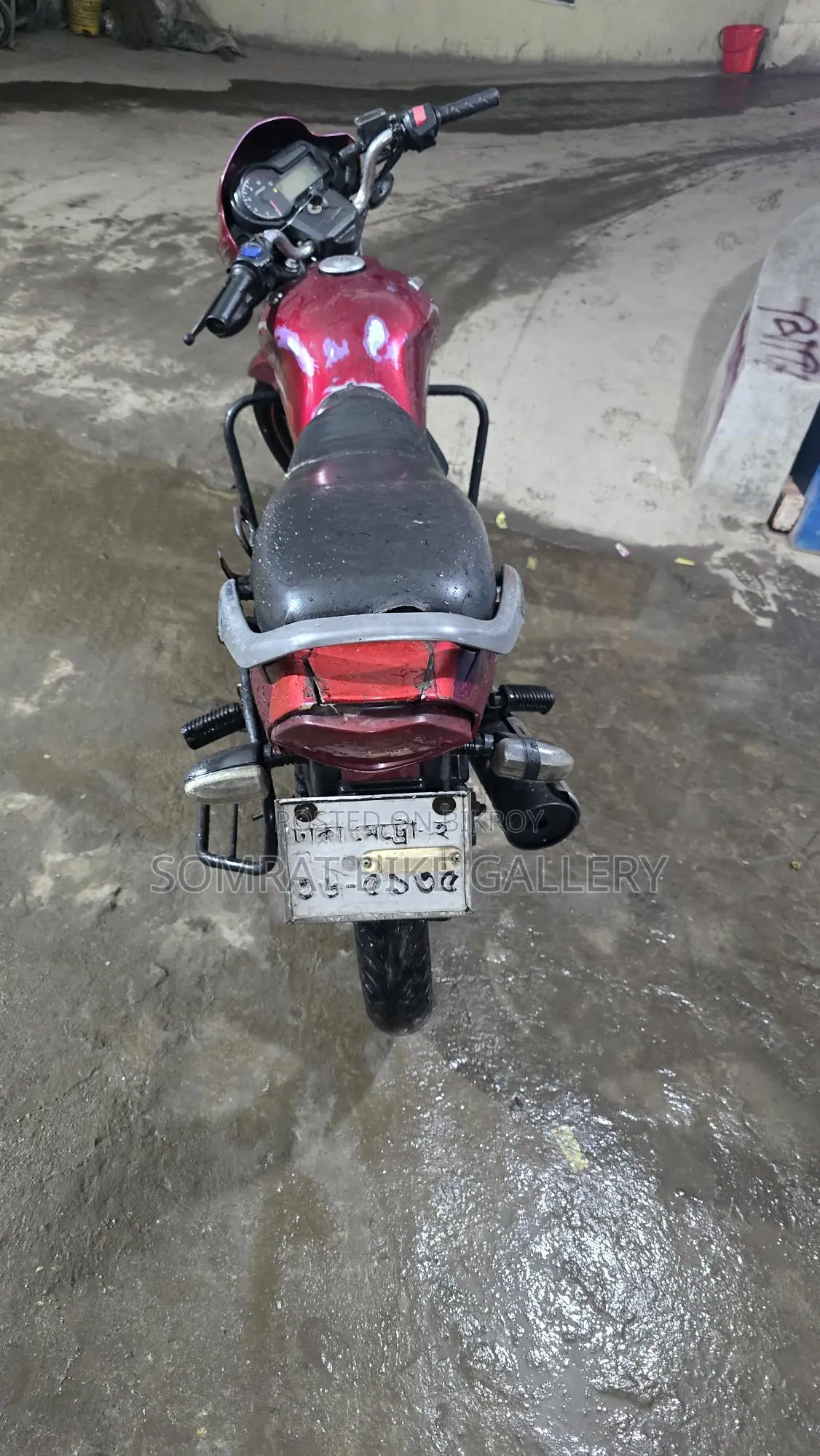 Runner Royal Plus সুপার ফ্রেশ কন্ডিশন 2017