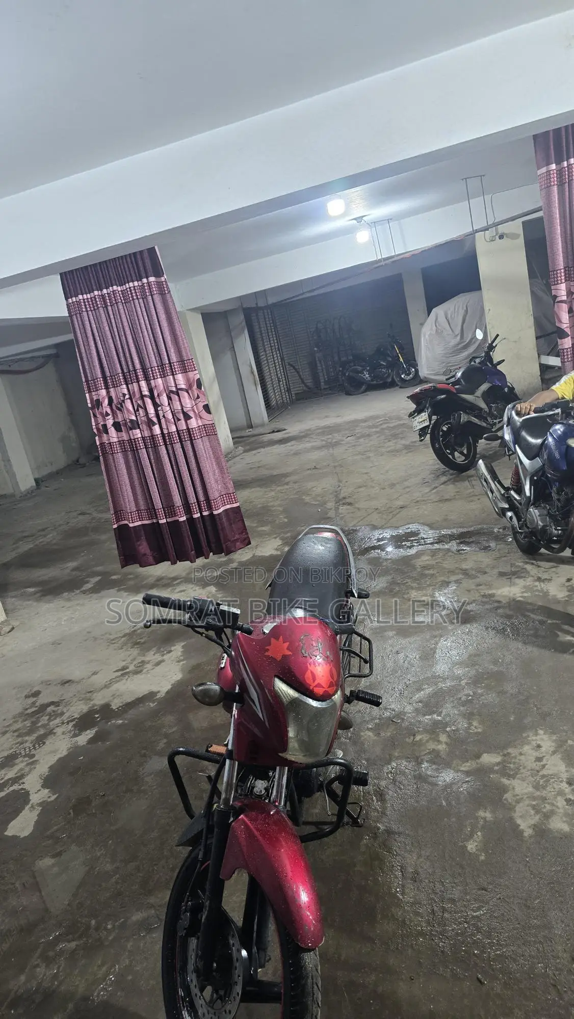 Runner Royal Plus সুপার ফ্রেশ কন্ডিশন 2017