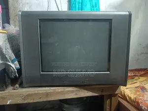 Sony 21 Inch
