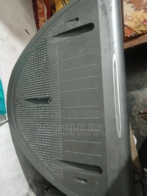Sony 21 Inch