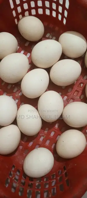 দেশি মুরগির ডিম