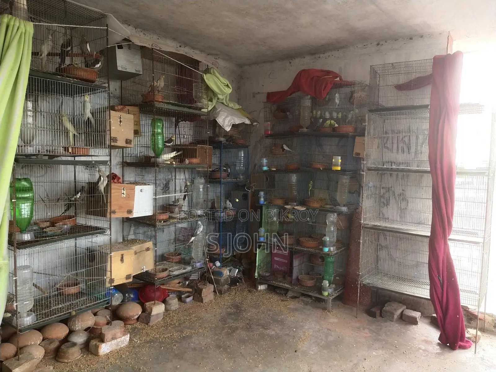 Bird Farm Sale
