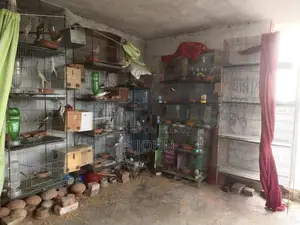 পাখির খামার সেল