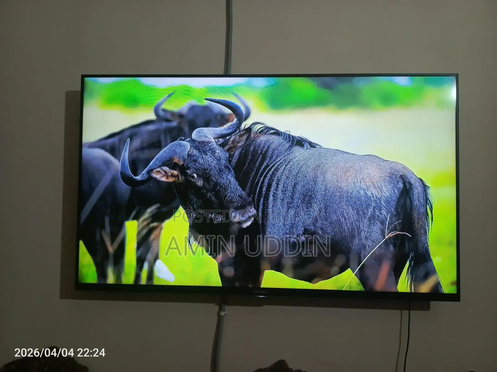 Sony Bravia-50 " 3d