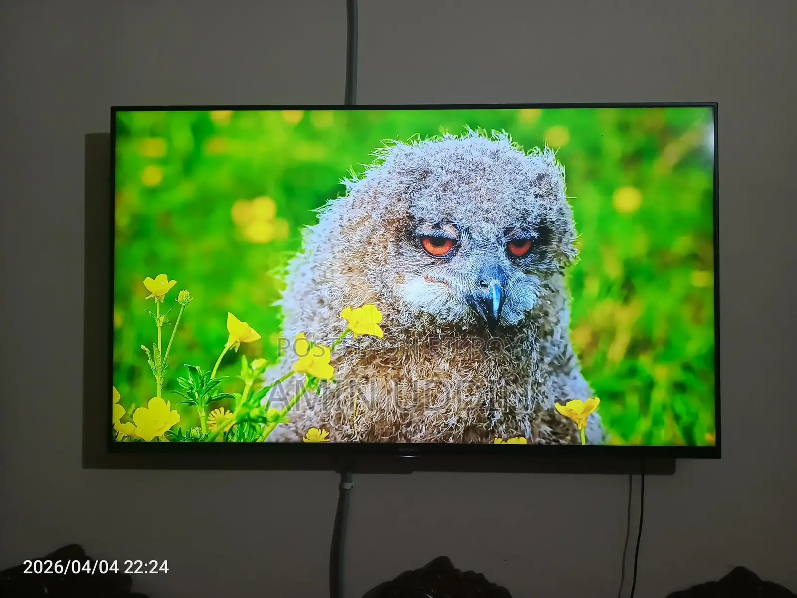 Sony Bravia-50 " 3d