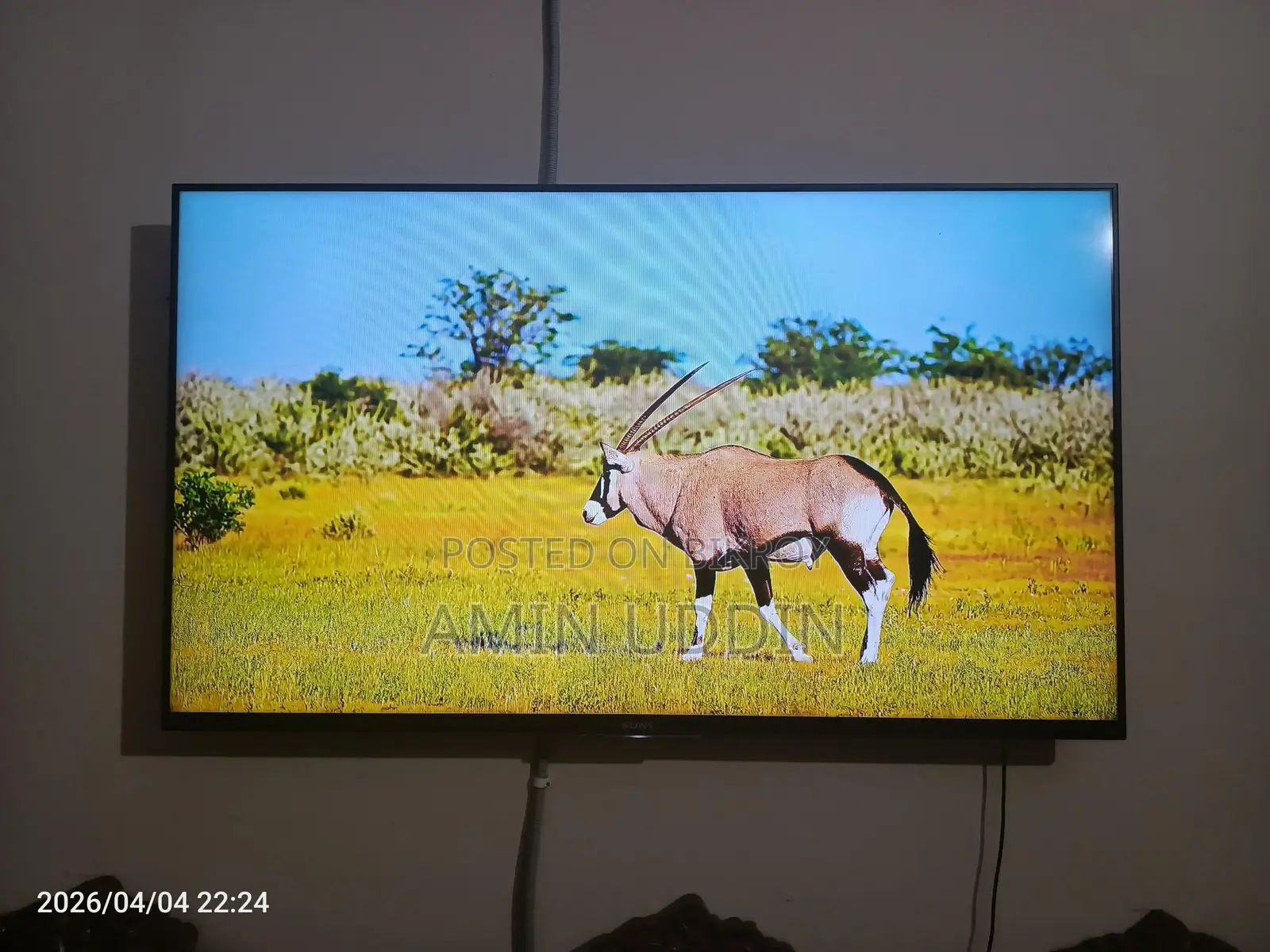 Sony Bravia-50 " 3d