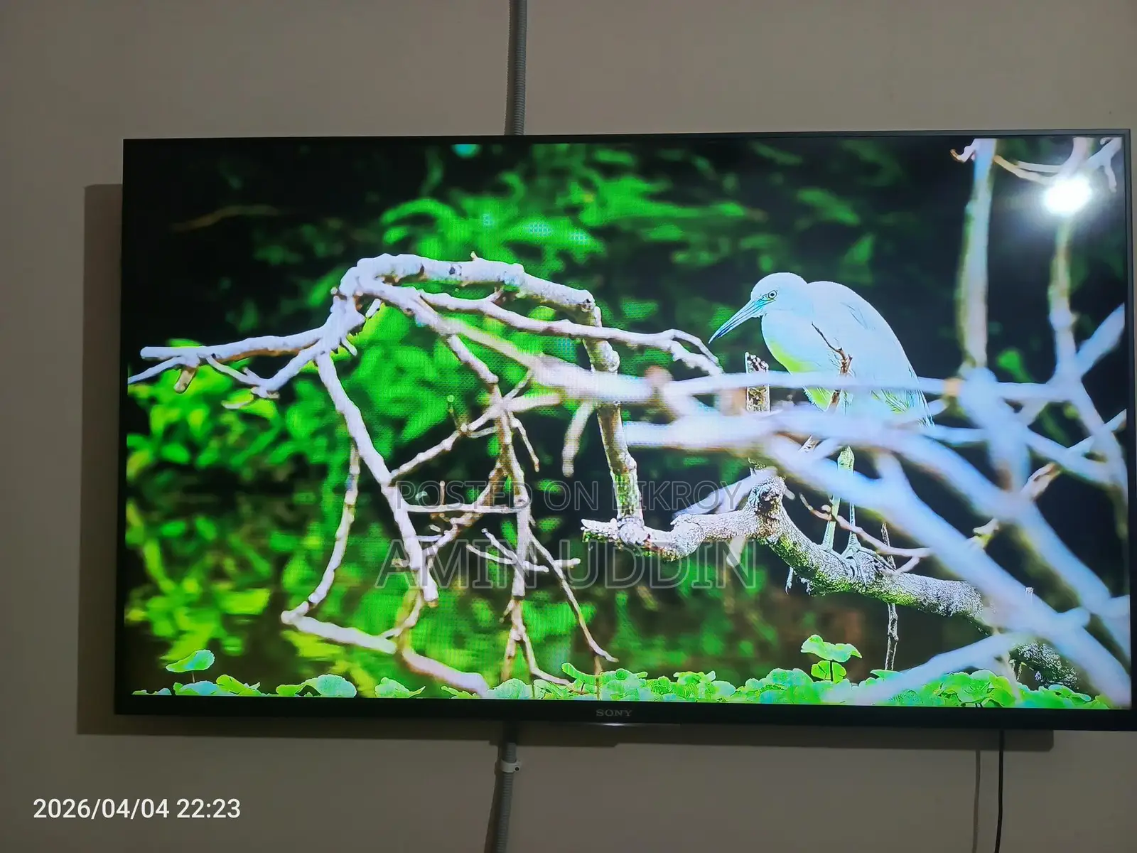 Sony Bravia-50 " 3d