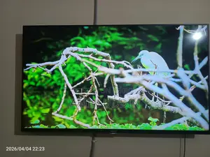 Sony Bravia-50 " 3d