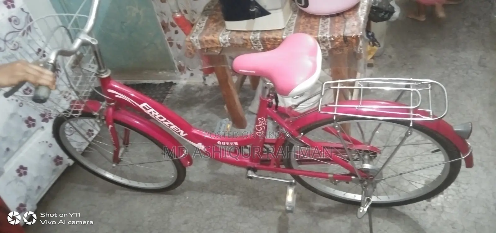 FROZEN LADYS BIKE