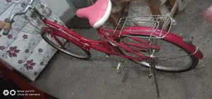 FROZEN LADYS BIKE