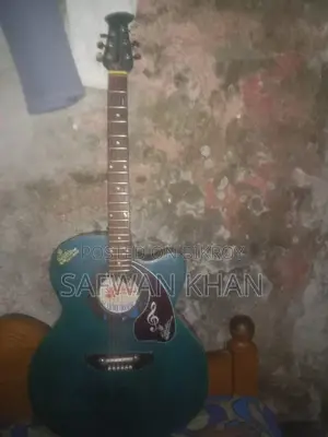 গিটার সেল হবে কম দামে