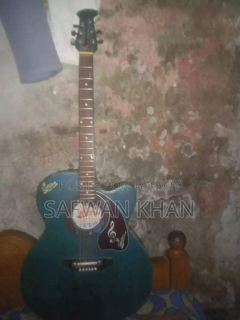 গিটার সেল হবে কম দামে