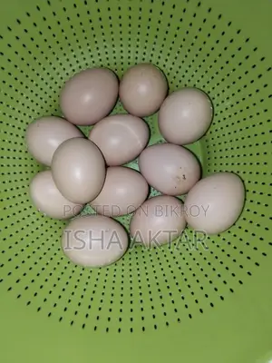 Farm-Fresh Country Chicken Eggs