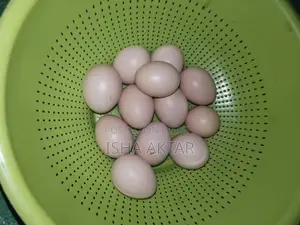 Farm-Fresh Country Chicken Eggs