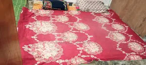 Need a roommate for April