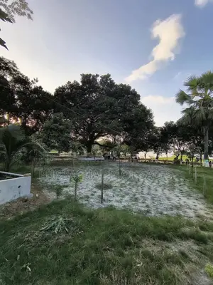স্বপ্ন নয় বাস্তবে আপনার বিনিয়োগ হোক পাইন সিটিতে।