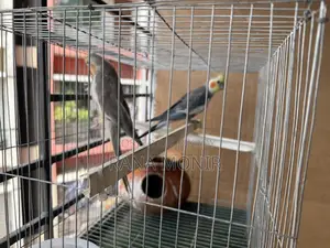 Cocktail Gary