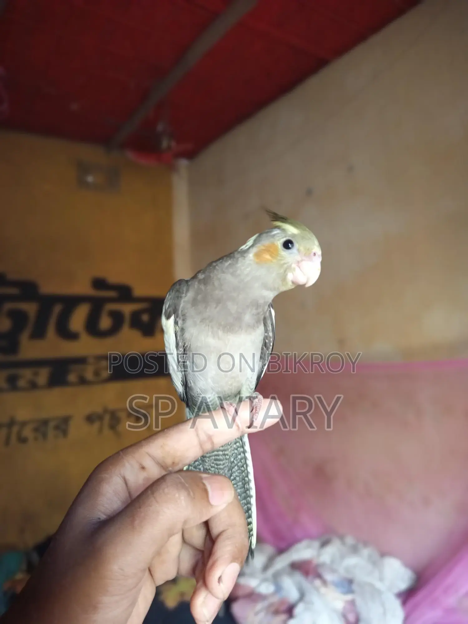 টেম গ্রে ককাটেল