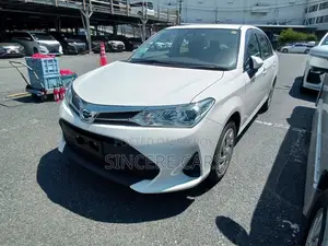 Toyota Axio EX NON HYB 4.5 POINT 2020