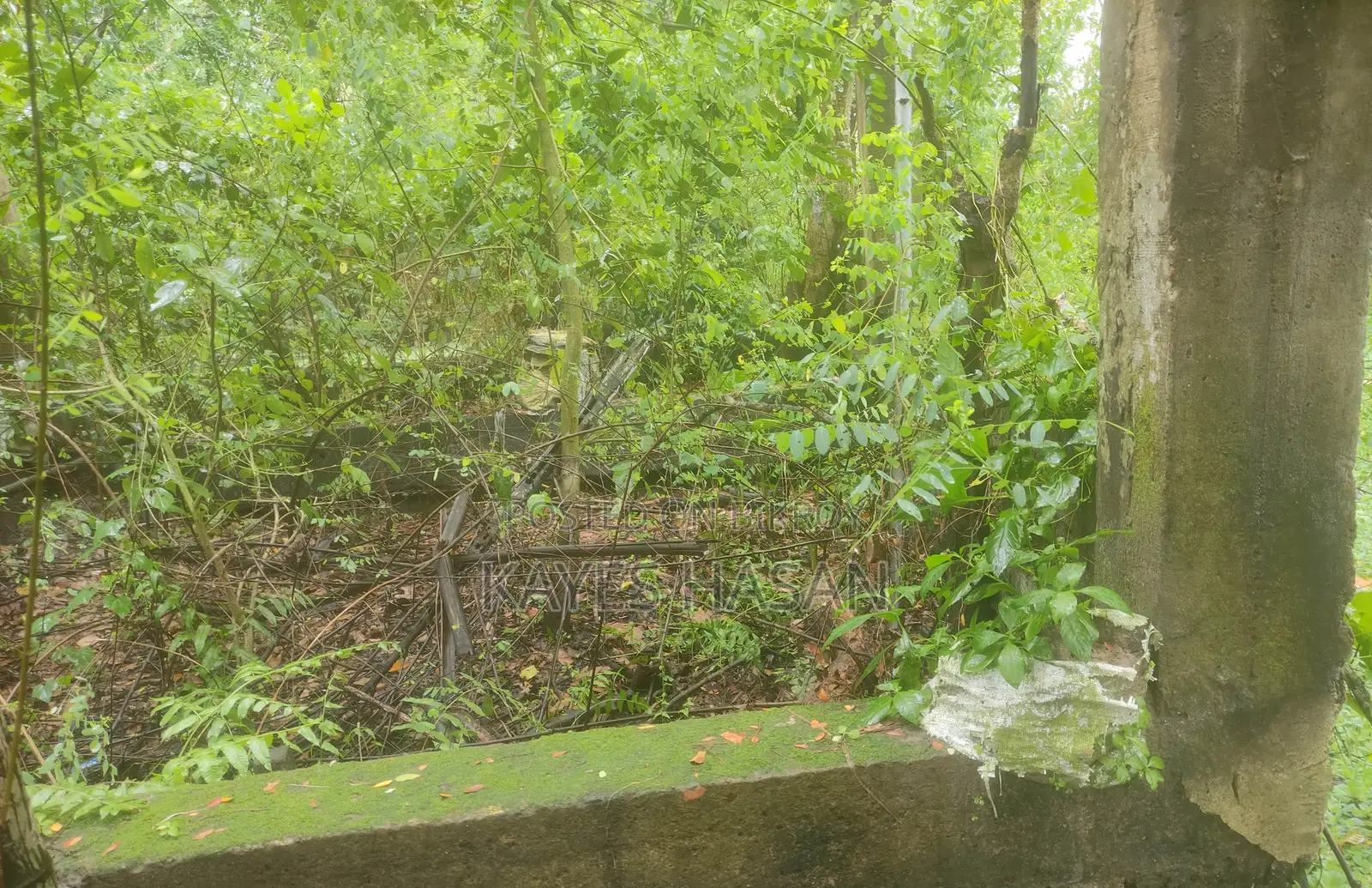 জমি বিক্রয়