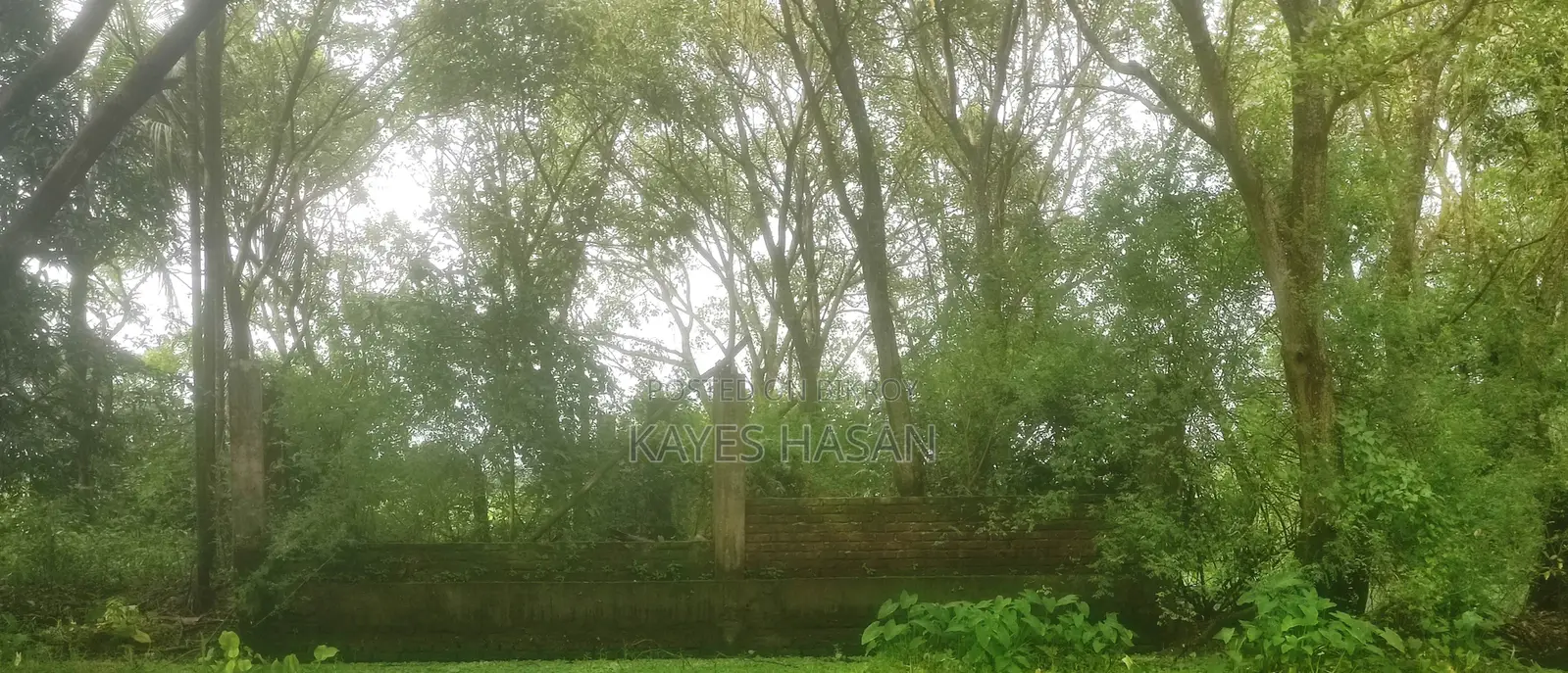 জমি বিক্রয়