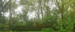 জমি বিক্রয়