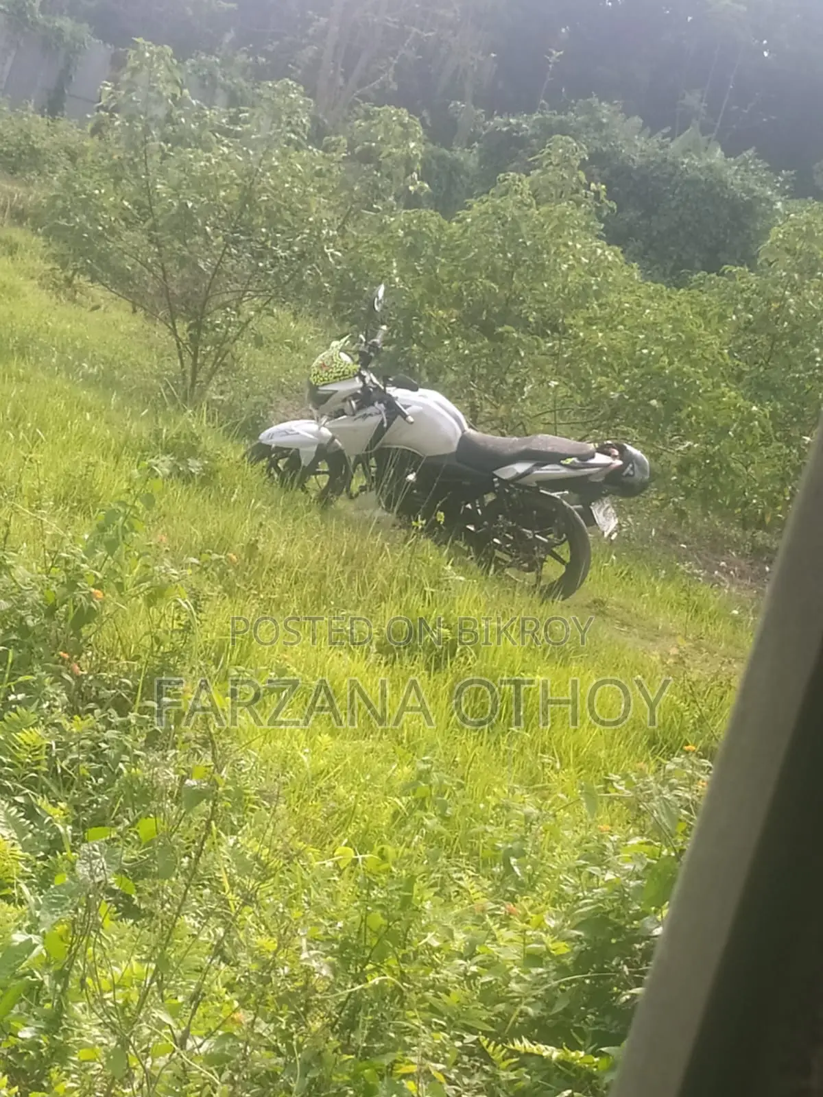 ইয়ামাহা ২০১৫