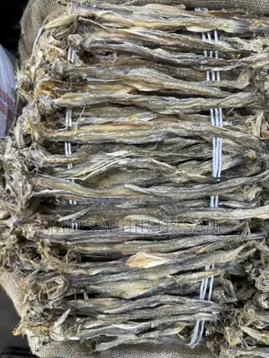Loitta Boro Size