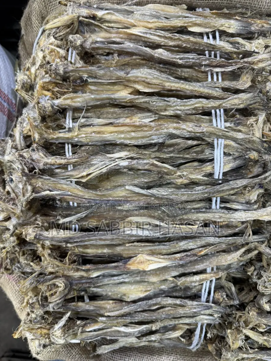 Large Size Loitta Dried Fish