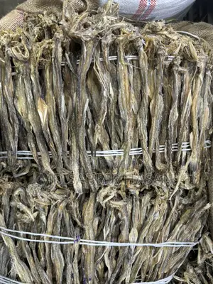 Large Size Loitta Dried Fish