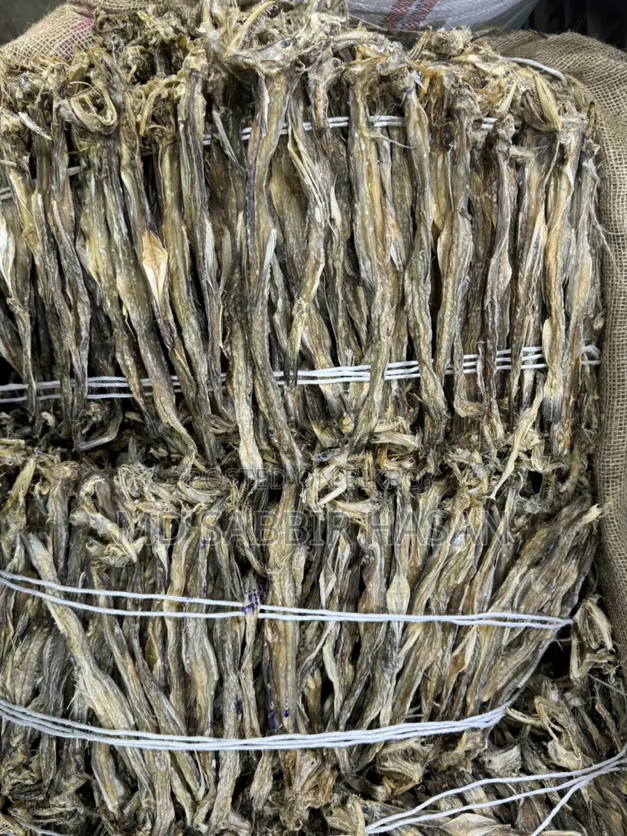 Large Size Loitta Dried Fish