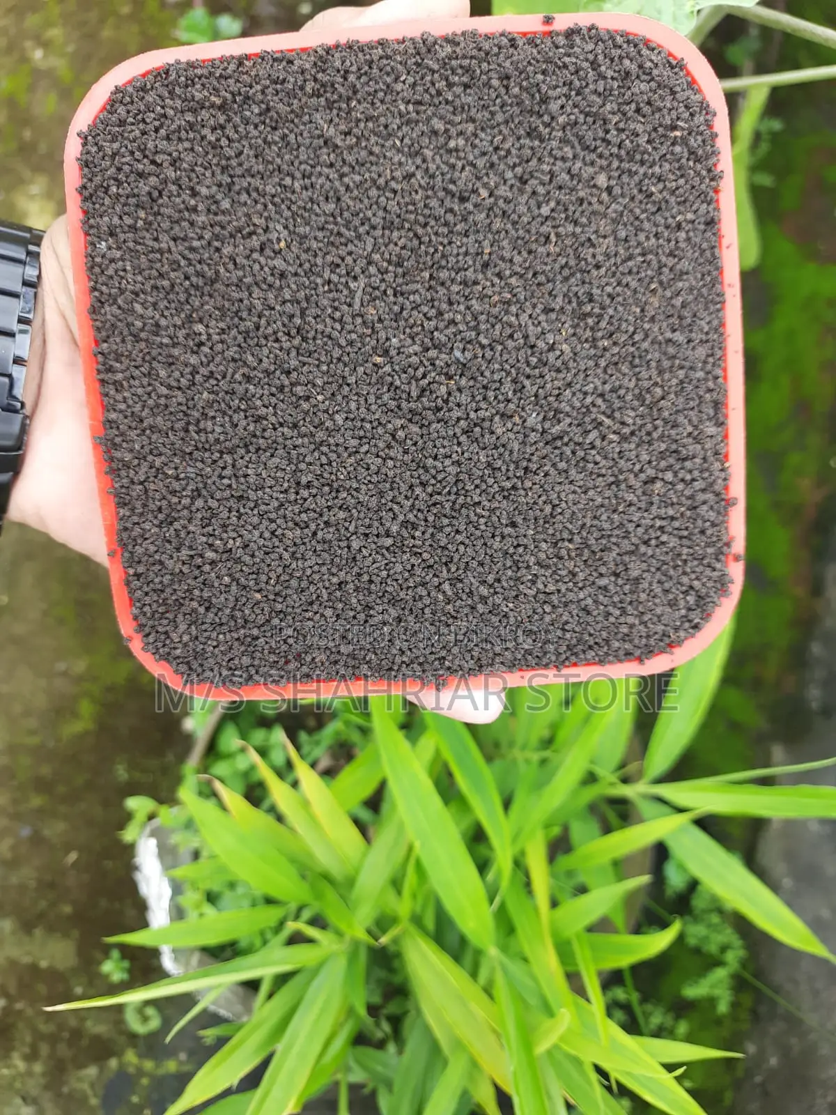 MODHUPUR SPECIAL TEA LEAVES (PREMIUM QUALITY)