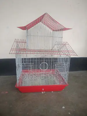 পাখির খাঁচা