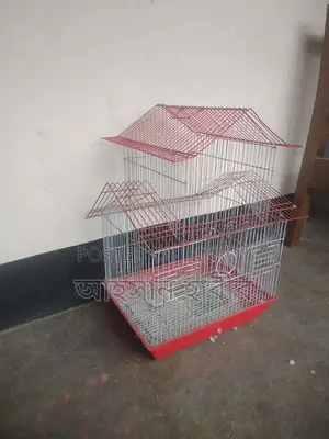 পাখির খাঁচা