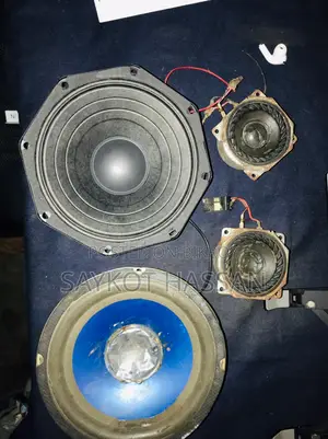 Brand New Speaker